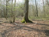 /album/galerie-de-photos-conseil-de-lecture/ch%c3%aane-sacre-jpg/